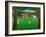 The Cricket Match, 1987-Larry Smart-Framed Giclee Print