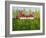 The Cricket Match-Mark Baring-Framed Giclee Print
