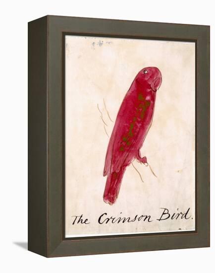 The Crimson Bird, from Sixteen Drawings of Comic Birds-Edward Lear-Framed Premier Image Canvas