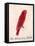 The Crimson Bird, from Sixteen Drawings of Comic Birds-Edward Lear-Framed Premier Image Canvas