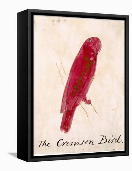 The Crimson Bird, from Sixteen Drawings of Comic Birds-Edward Lear-Framed Premier Image Canvas