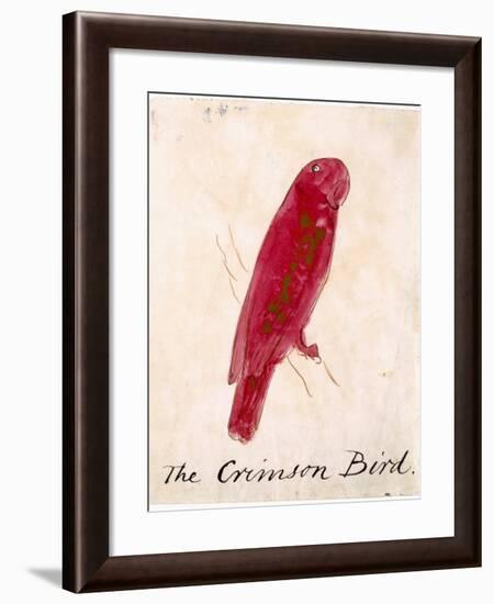 The Crimson Bird, from Sixteen Drawings of Comic Birds-Edward Lear-Framed Giclee Print