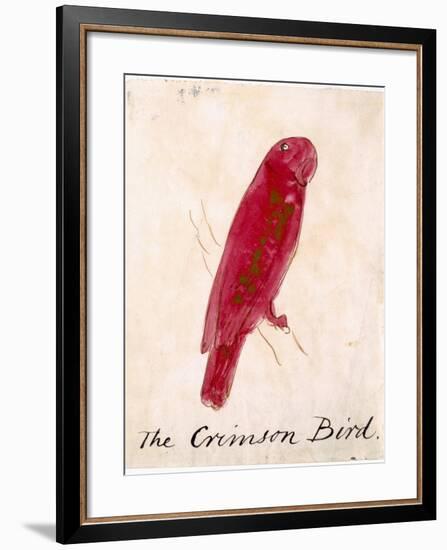 The Crimson Bird, from Sixteen Drawings of Comic Birds-Edward Lear-Framed Giclee Print