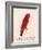 The Crimson Bird, from Sixteen Drawings of Comic Birds-Edward Lear-Framed Giclee Print