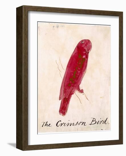 The Crimson Bird, from Sixteen Drawings of Comic Birds-Edward Lear-Framed Giclee Print