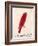 The Crimson Bird, from Sixteen Drawings of Comic Birds-Edward Lear-Framed Giclee Print