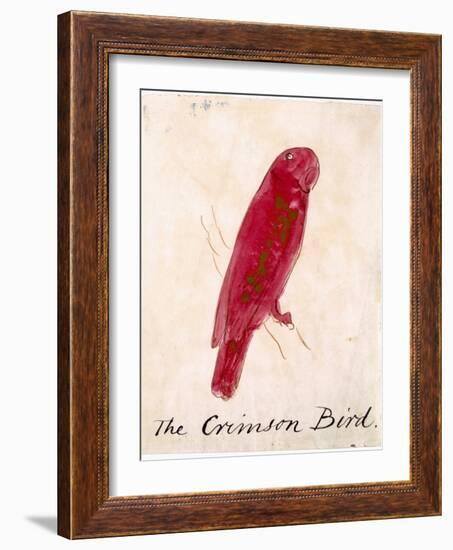 The Crimson Bird, from Sixteen Drawings of Comic Birds-Edward Lear-Framed Giclee Print