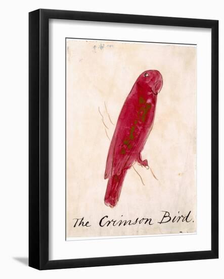 The Crimson Bird, from Sixteen Drawings of Comic Birds-Edward Lear-Framed Giclee Print