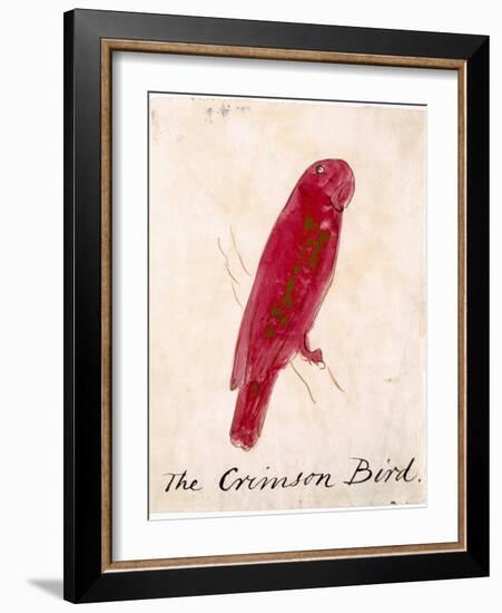 The Crimson Bird, from Sixteen Drawings of Comic Birds-Edward Lear-Framed Giclee Print