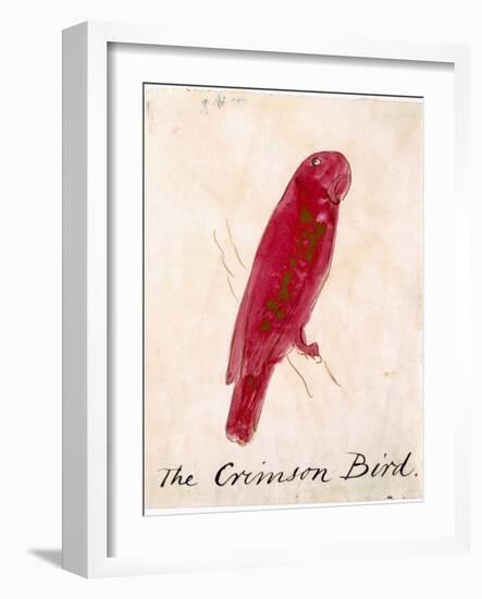 The Crimson Bird, from Sixteen Drawings of Comic Birds-Edward Lear-Framed Giclee Print