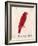 The Crimson Bird, from Sixteen Drawings of Comic Birds-Edward Lear-Framed Giclee Print