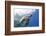 The Critically Endangered Hawksbill Turtle (Eretmochelys Imbricata)-Mark Doherty-Framed Photographic Print