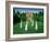 The Croquet Match, 1978-Larry Smart-Framed Giclee Print