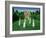 The Croquet Match, 1978-Larry Smart-Framed Giclee Print