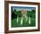 The Croquet Match, 1978-Larry Smart-Framed Giclee Print