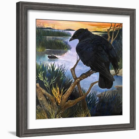 The Crow, Illustration from 'The Black Shadow', by F. St Mars, 1966-G. W Backhouse-Framed Giclee Print