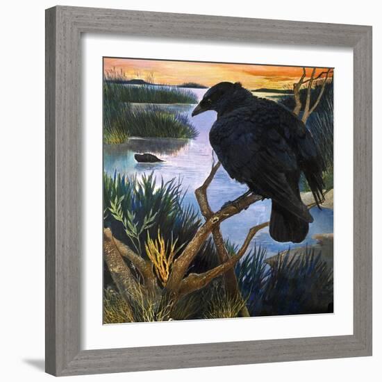 The Crow, Illustration from 'The Black Shadow', by F. St Mars, 1966-G. W Backhouse-Framed Giclee Print