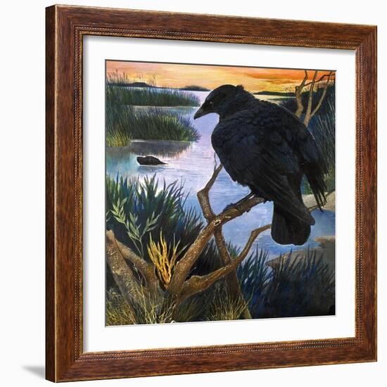 The Crow, Illustration from 'The Black Shadow', by F. St Mars, 1966-G. W Backhouse-Framed Giclee Print