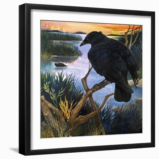 The Crow, Illustration from 'The Black Shadow', by F. St Mars, 1966-G. W Backhouse-Framed Giclee Print