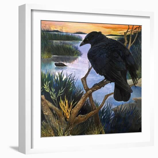 The Crow, Illustration from 'The Black Shadow', by F. St Mars, 1966-G. W Backhouse-Framed Giclee Print