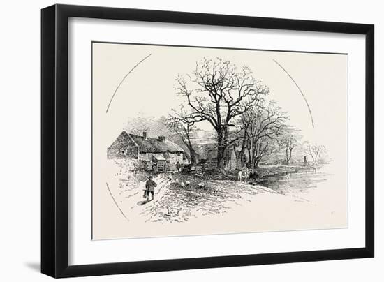 The Crow Trees, Barrow-On-Trent, UK-null-Framed Giclee Print