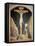 The Crucifixion, 1442-Fra Angelico-Framed Premier Image Canvas