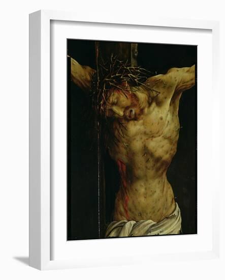 The Crucifixion from the Isenheim Altarpiece, Detail of Christ's Torso, circa 1512-16-Matthias Grünewald-Framed Giclee Print