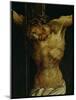 The Crucifixion from the Isenheim Altarpiece, Detail of Christ's Torso, circa 1512-16-Matthias Grünewald-Mounted Giclee Print