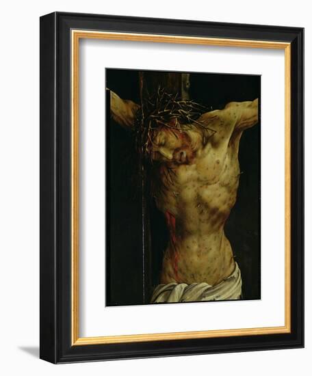 The Crucifixion from the Isenheim Altarpiece, Detail of Christ's Torso, circa 1512-16-Matthias Grünewald-Framed Giclee Print