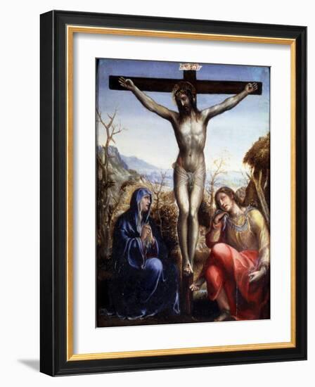 The Crucifixion with the Virgin and John the Baptist, C1540-Sodoma-Framed Giclee Print