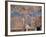 The Crucifixion-Cimabue-Framed Photographic Print