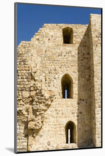 The crusader fort of Kerak Castle, Kerak, Jordan.-Nico Tondini-Mounted Photographic Print