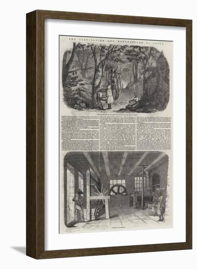 The Cultivation and Manufacture of Cocoa-null-Framed Giclee Print