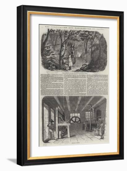 The Cultivation and Manufacture of Cocoa-null-Framed Giclee Print