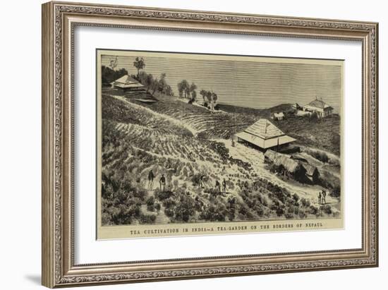 The Cultivation in India, a Tea-Garden on the Borders of Nepaul-null-Framed Giclee Print