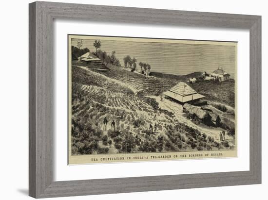 The Cultivation in India, a Tea-Garden on the Borders of Nepaul-null-Framed Giclee Print