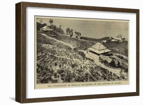 The Cultivation in India, a Tea-Garden on the Borders of Nepaul-null-Framed Giclee Print