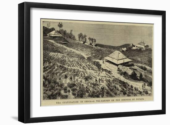 The Cultivation in India, a Tea-Garden on the Borders of Nepaul-null-Framed Giclee Print