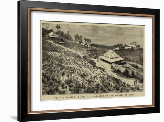 The Cultivation in India, a Tea-Garden on the Borders of Nepaul-null-Framed Giclee Print