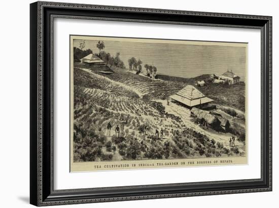The Cultivation in India, a Tea-Garden on the Borders of Nepaul-null-Framed Giclee Print