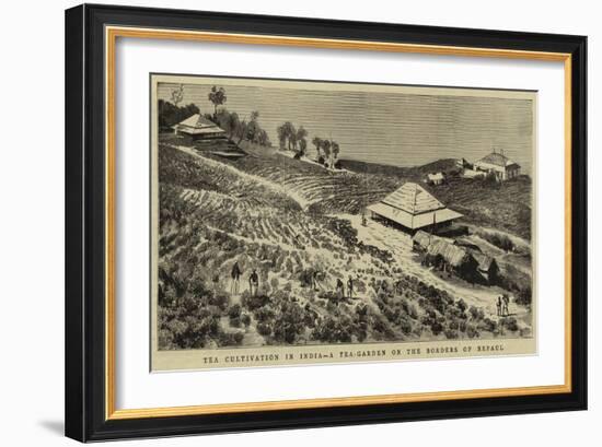 The Cultivation in India, a Tea-Garden on the Borders of Nepaul-null-Framed Giclee Print