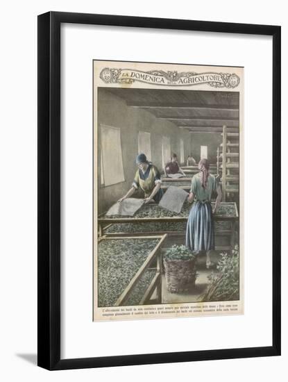 The Cultivation of Silk Worms in Italy-null-Framed Art Print