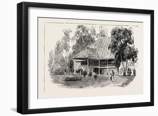 The Cultivation of Tobacco in Sumatra, Indonesia: a Planter's House, 1890-null-Framed Giclee Print