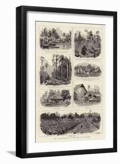 The Cultivation of Tobacco in Sumatra-null-Framed Giclee Print