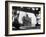 The Cunard White Star Liner the "Queen Mary" Docked at Southampton England-Fred Musto-Framed Photographic Print