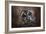 The Curious Owl-Jai Johnson-Framed Giclee Print