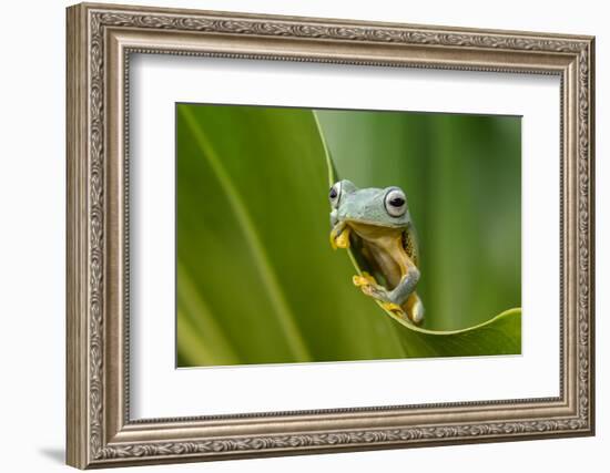 The Curve-Dikky Oesin-Framed Photographic Print