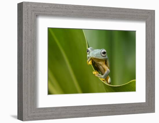 The Curve-Dikky Oesin-Framed Photographic Print