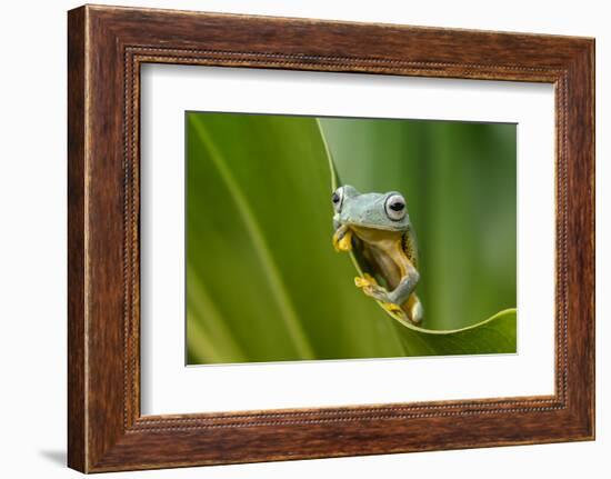 The Curve-Dikky Oesin-Framed Photographic Print