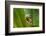 The Curve-Dikky Oesin-Framed Photographic Print